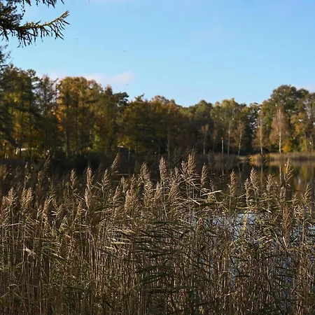 Prázdninový dům Sleep Space 4 - Tiny Spot Friesland