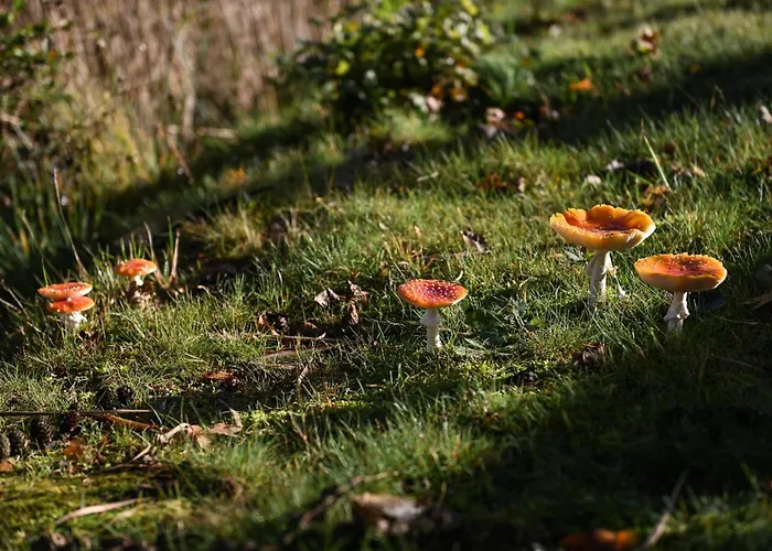 Sleep Space 4 - Tiny Spot Friesland Casa de Férias