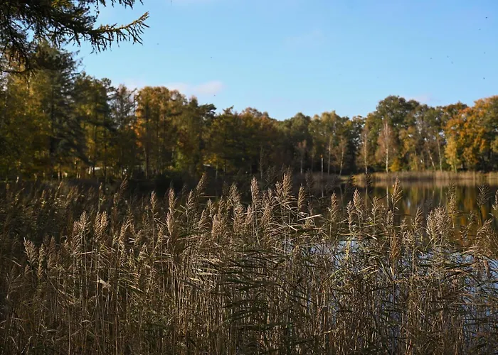 Casa de Férias Sleep Space 4 - Tiny Spot Friesland